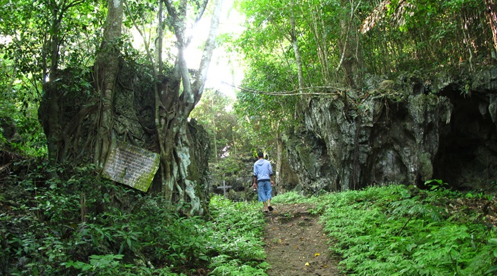 Bulabog Putian National Park (2) Bakhawan Eco Park