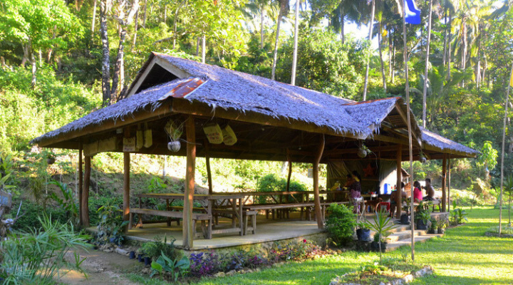 7 Bucari Pine Forest
