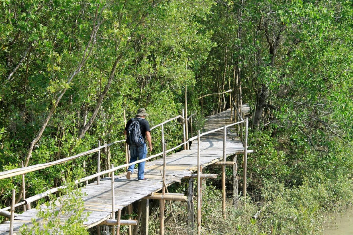 Bakhawan Eco Park (8) Bakhawan Eco Park